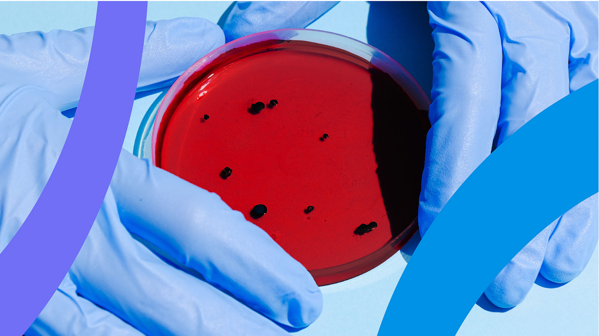 Web Angelini 1920x1080px 11