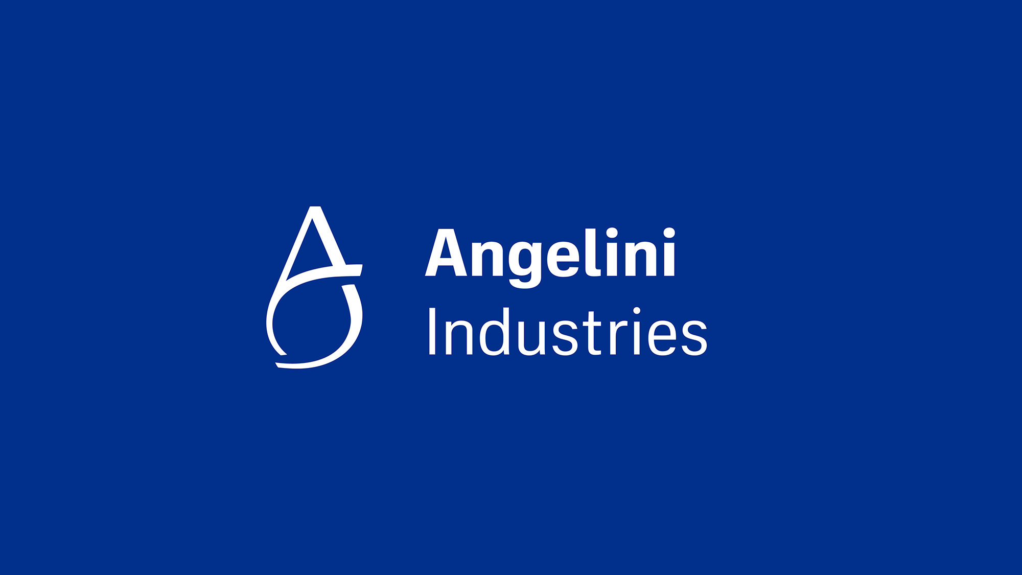 Web Angelini 1920x1080px 24