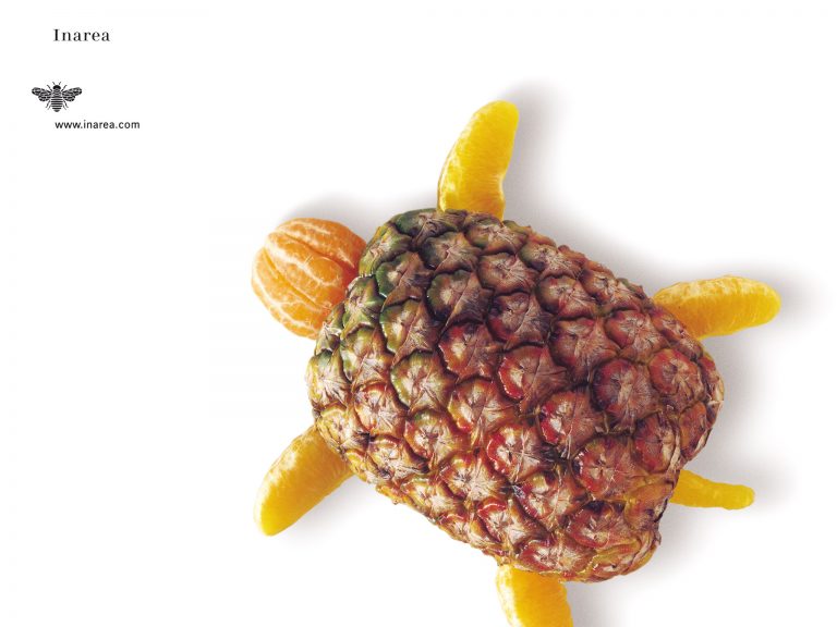 D.2000 Gen 72 510x382