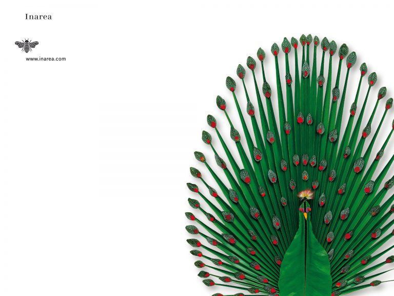 E.1999 Apr 72 510x382