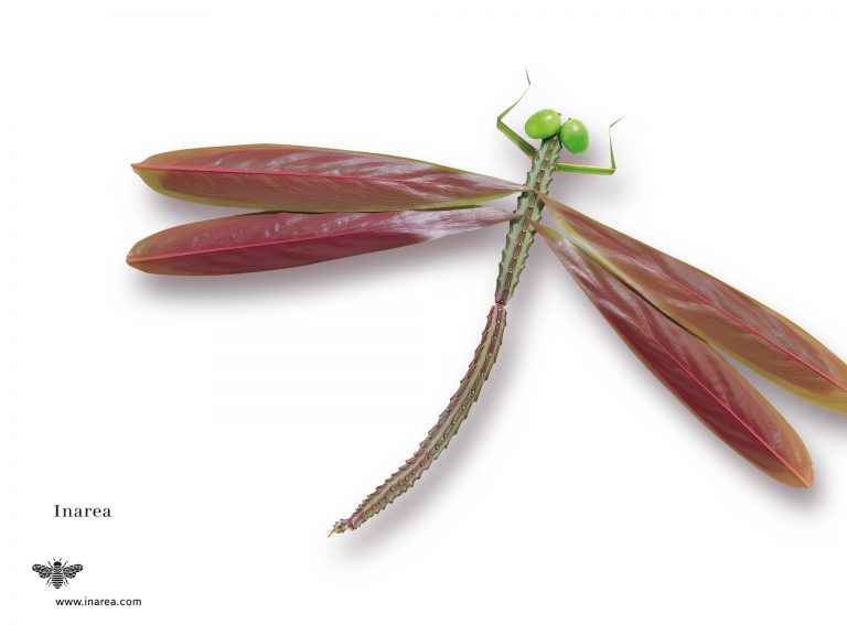 G.1999 Giu 72 510x382