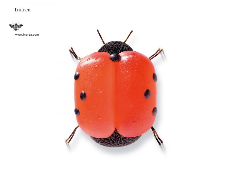 G 2004 Mag 72 510x382