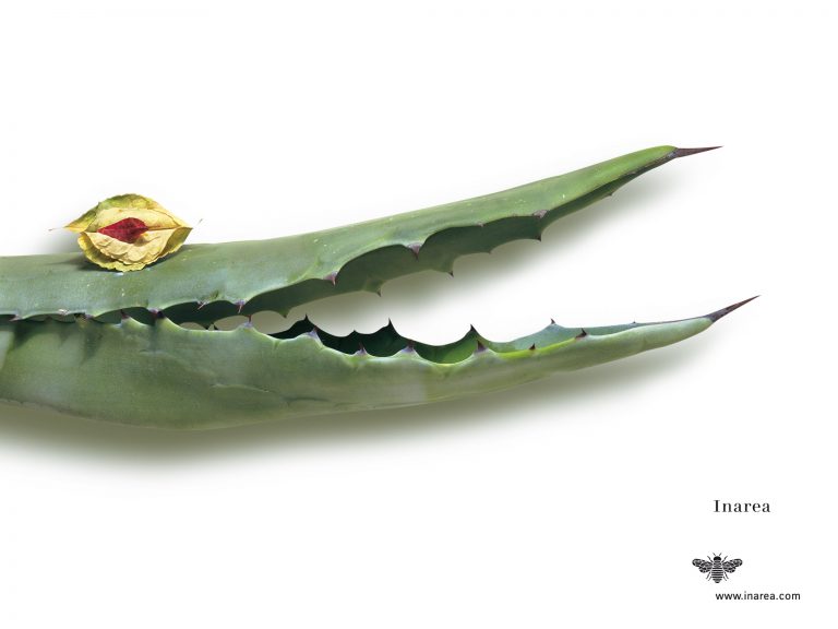 H.1999 Lug 72 510x382