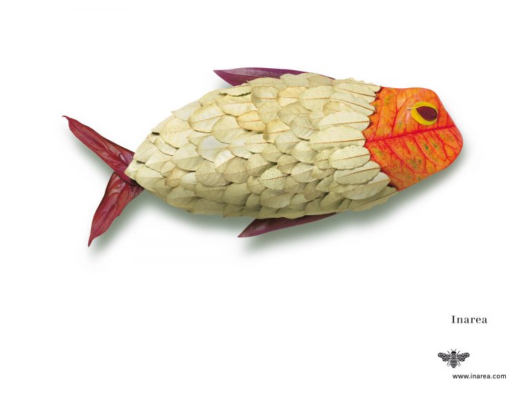 I.1999 Ago 72 510x382