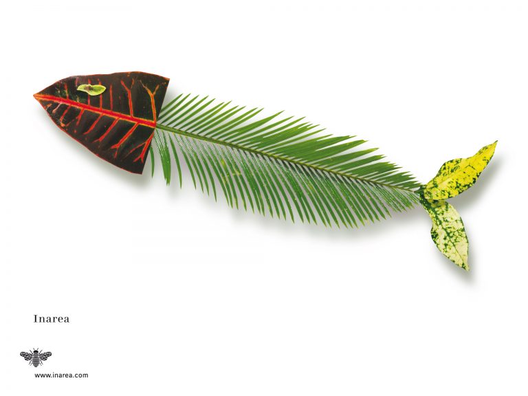 L.1999 Set 72 510x382