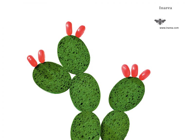 L 2004 Ago 72 510x382