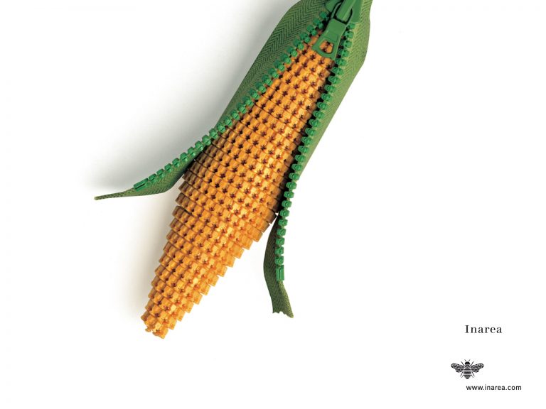 M 1998 Ott 72 510x382