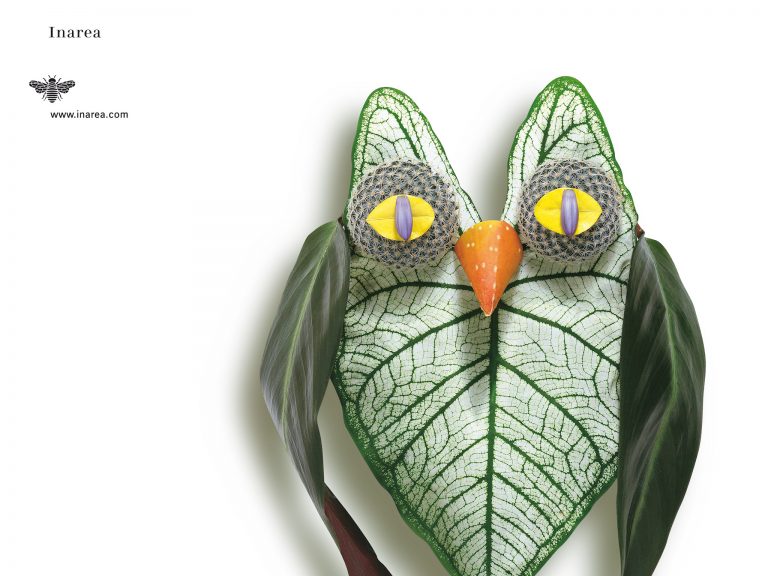 N.1999 Nov 72 510x382