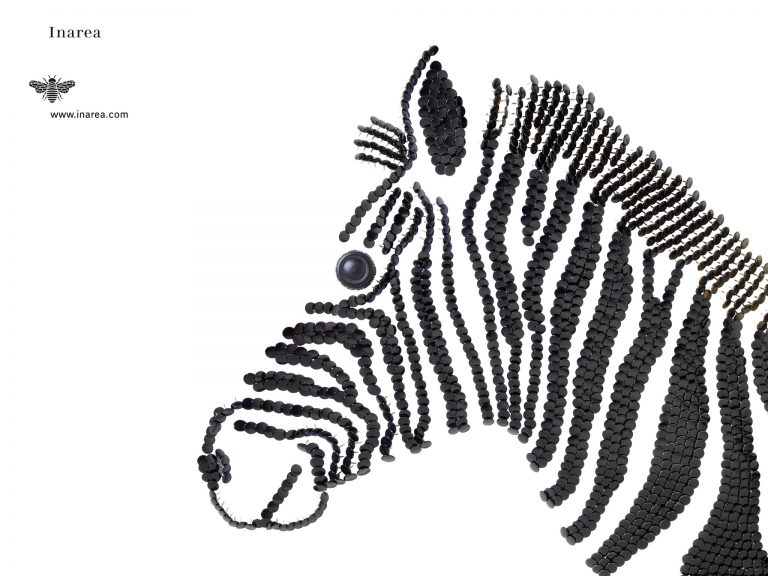 N 2008 Nov 72 510x382