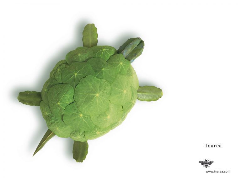 O.1999 Dic 72 510x382