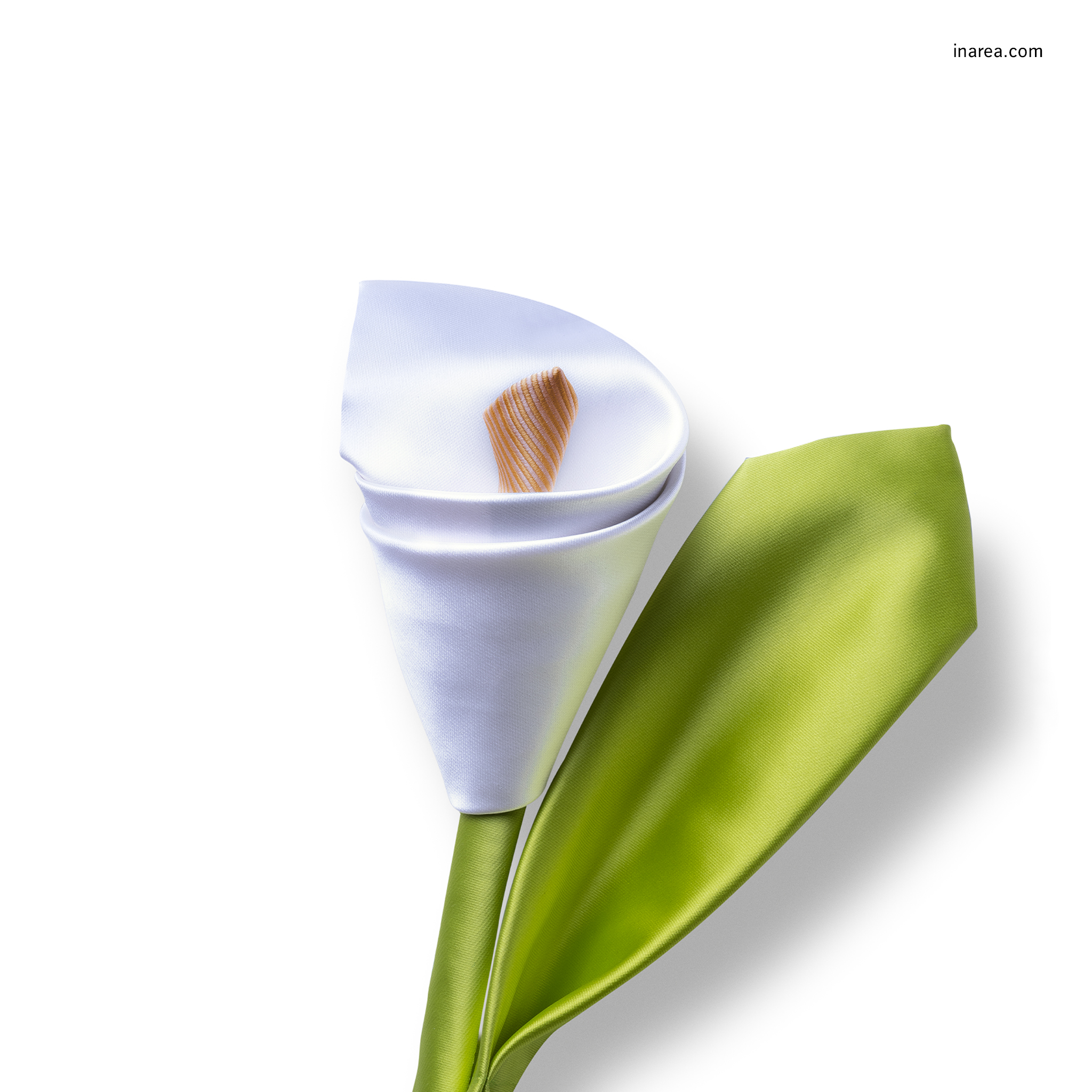 Inarea Imaginarea 02 12