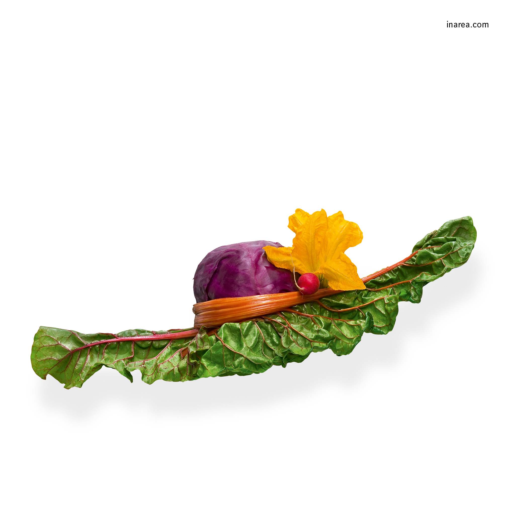 Inarea Imaginarea 23 03