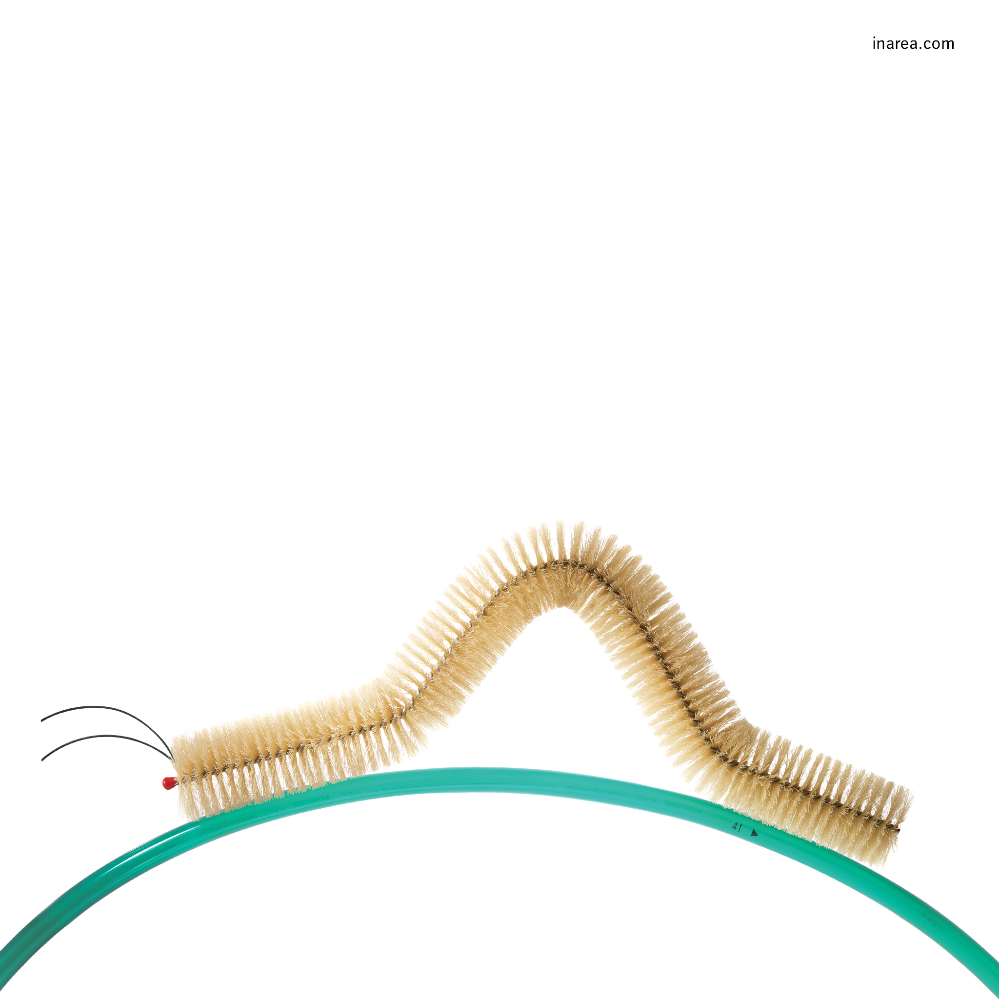 Inarea Imaginarea 02 08