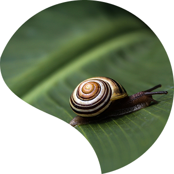 Goccia Diritto Delle Assicurazioni E Responsabilità Civile