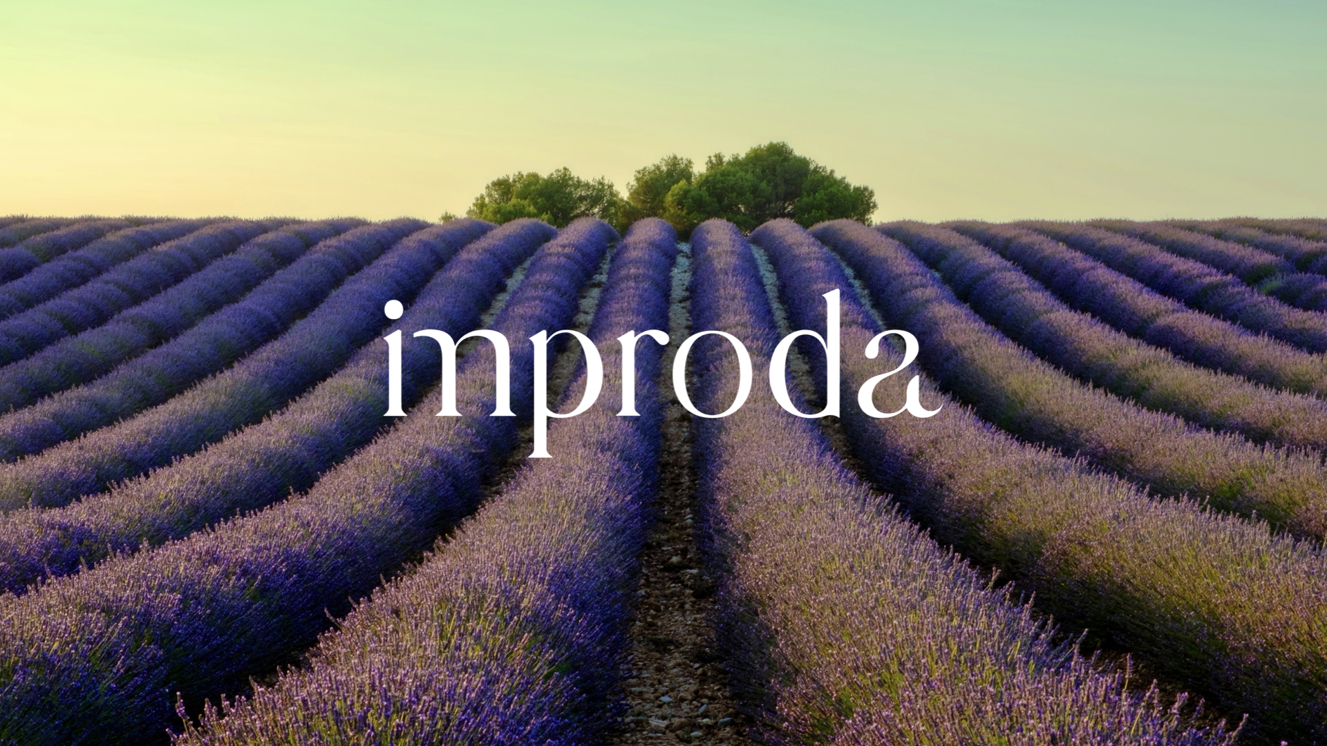 Improda Linguaggio Fotografico.006