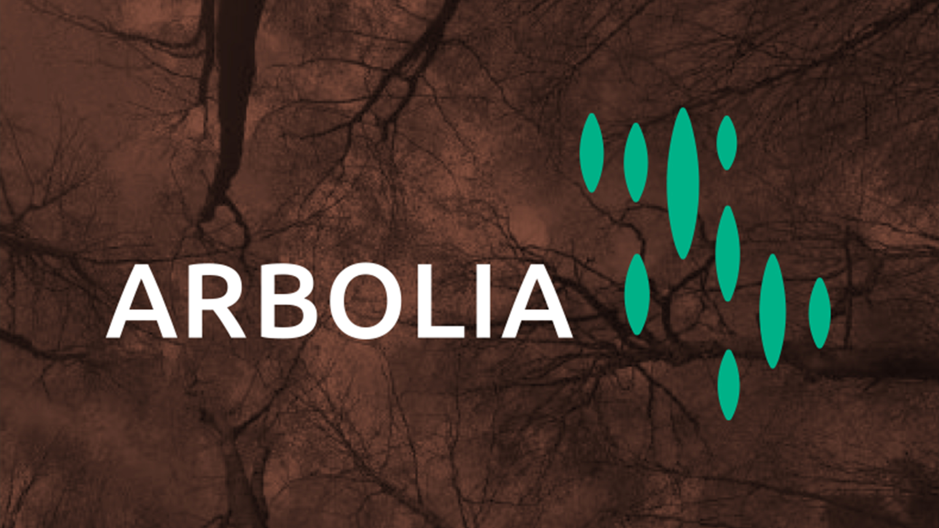 Arbolia Pannel Brown+photo