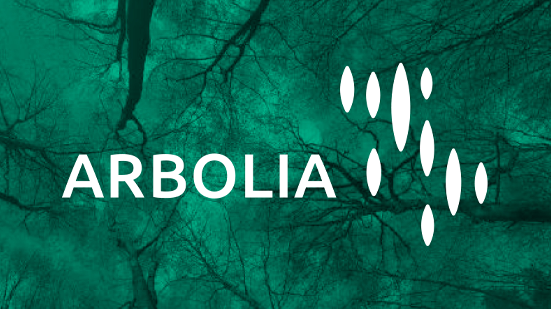 Arbolia Pannel Green+photo