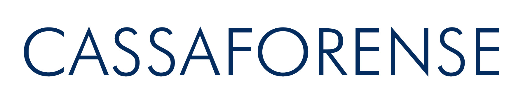 CF Logotipo Bandiera 1riga PMS282C