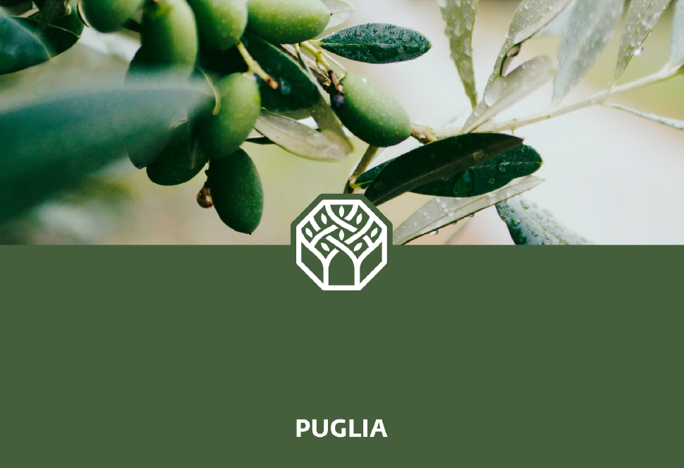 Regione Puglia Inarea Olive