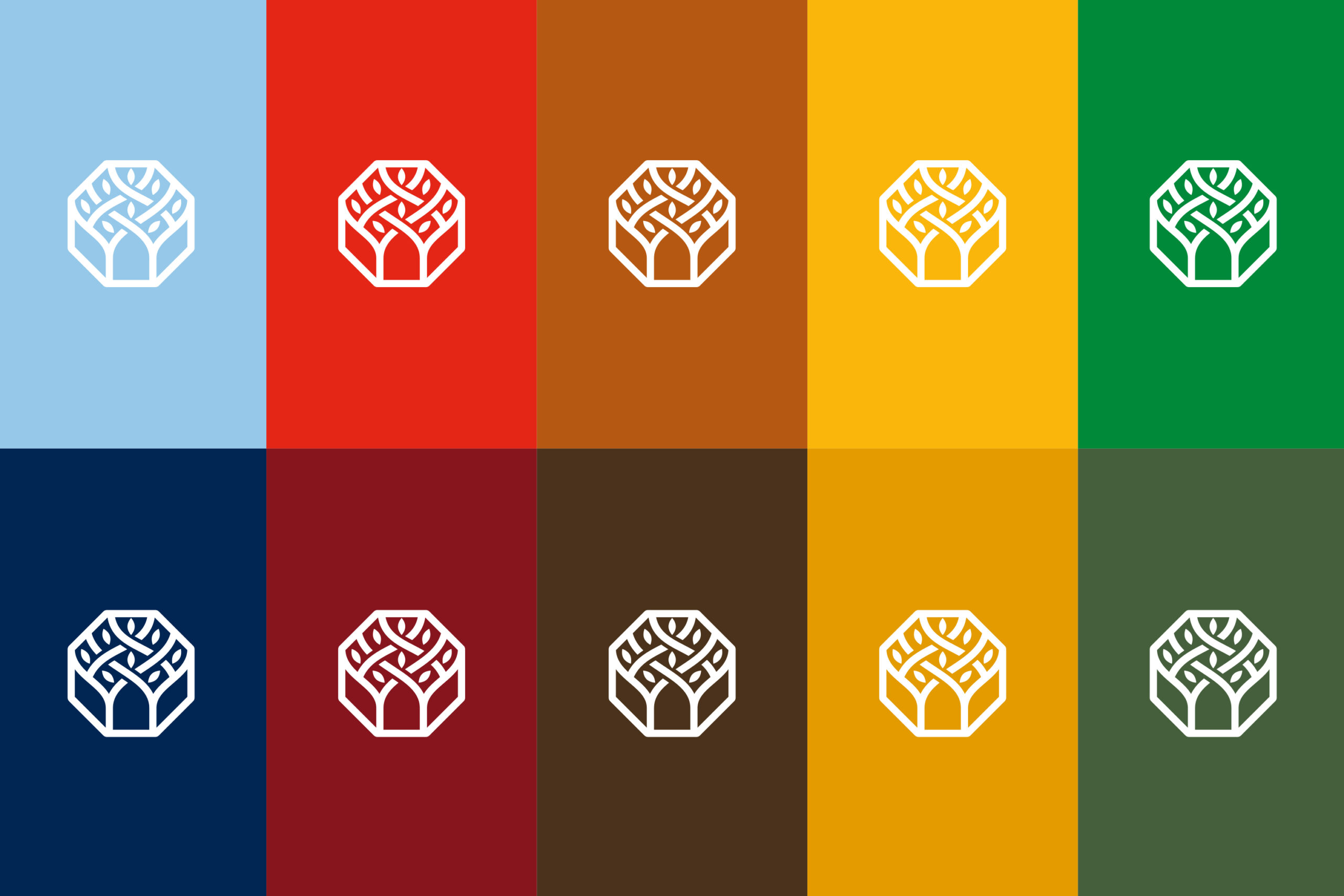 Regione Puglia Pattern 3